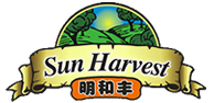随然